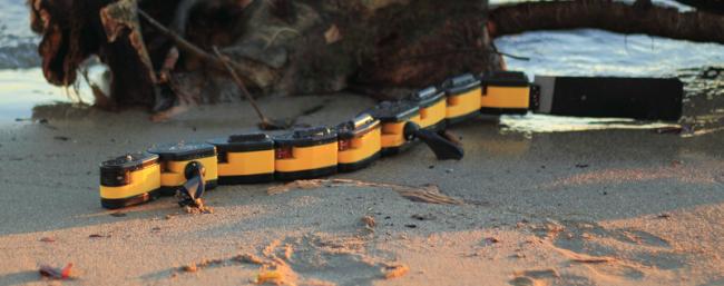 Salamandra Robotica II — робот-саламандра