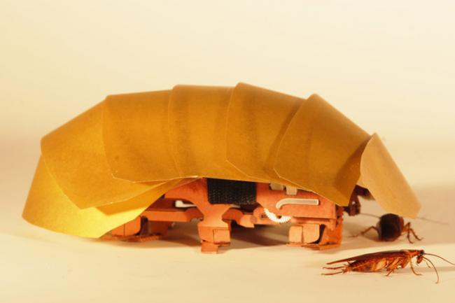 CRAM - деформируемый робот-таракан